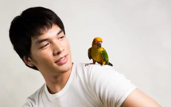 鸚鵡親人訓練