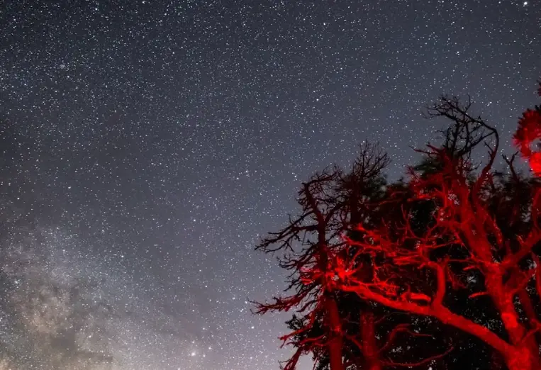 上升水瓶女 長相