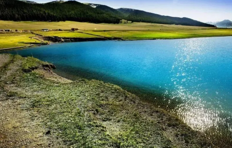 水瓶男只想睡你？破解星座行為的5大跡象與應對全攻略