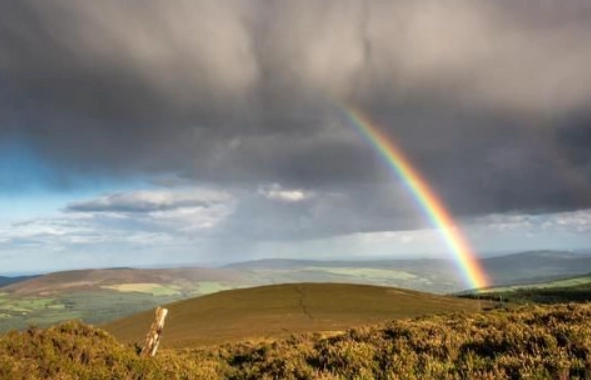 摩羯座心機 摩羯座心機