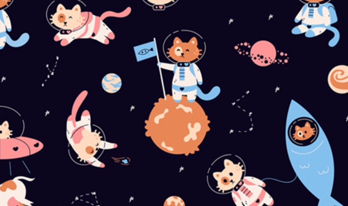 星座創業 星座創業