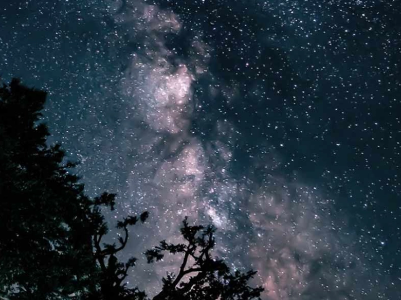 處女座 旅行 挑剔 處女座 旅行 挑剔