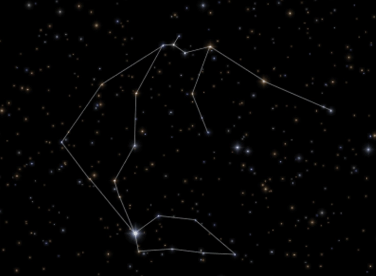 水瓶女性格分析