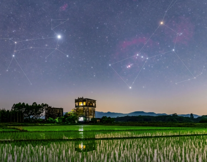 金星水瓶 戀愛模式