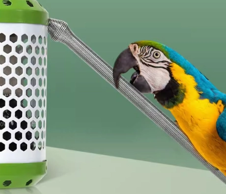 鸚鵡保溫燈 鸚鵡保溫燈