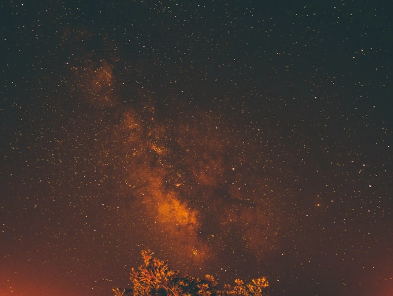 如何與處女座相處