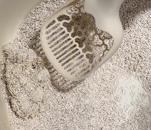 木薯貓砂好用嗎