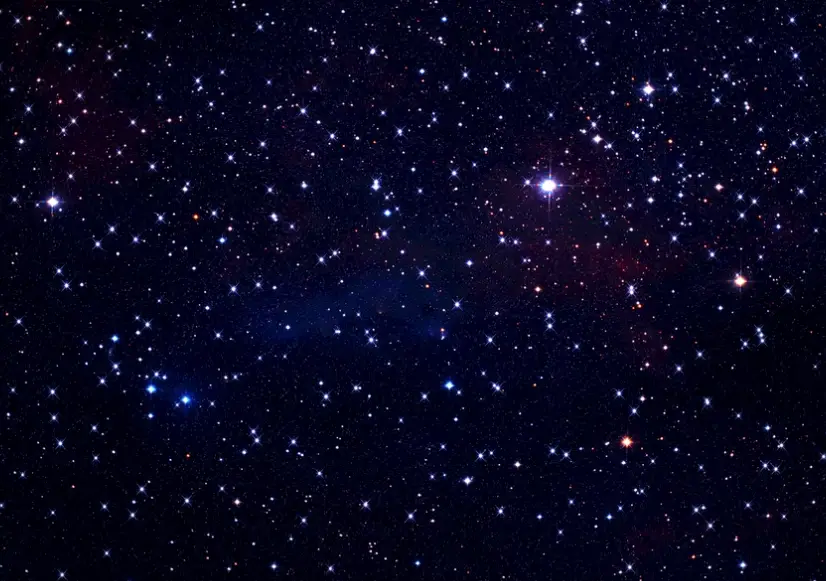 金牛座 感情 缺點 金牛座 感情 缺點