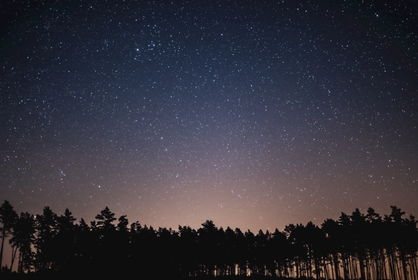 金牛座 不浪漫 金牛座 不浪漫