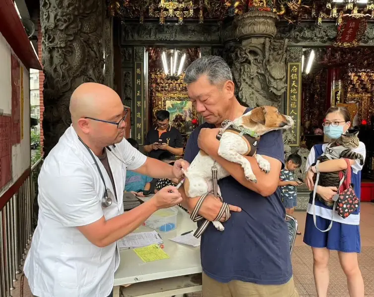 寵物疫苗副作用