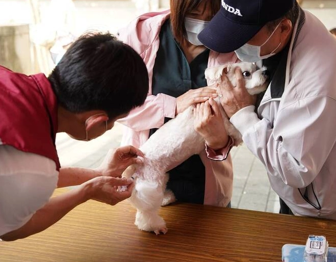 狂犬病疫苗接種時機