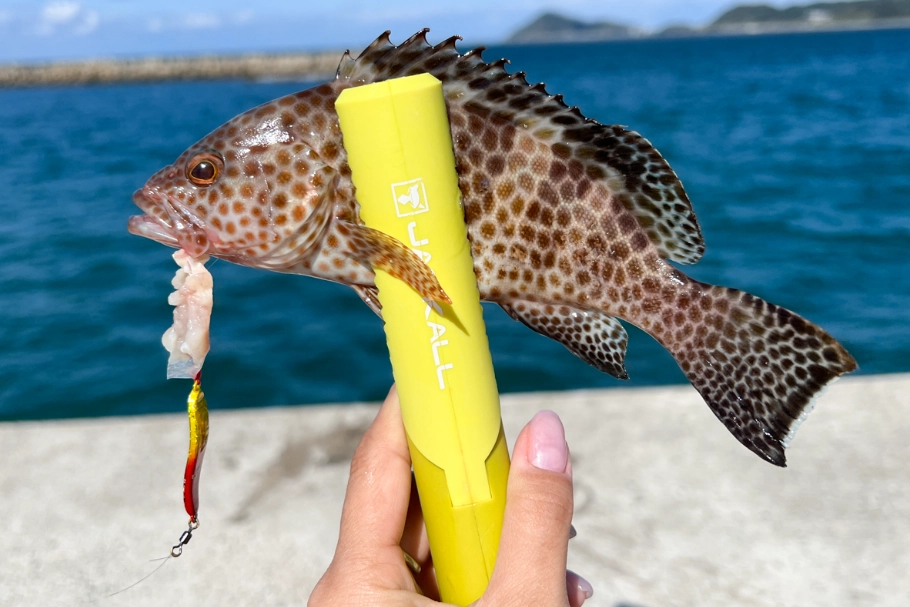 釣魚活餌 釣魚活餌