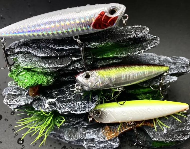 活餌釣魚 活餌釣魚