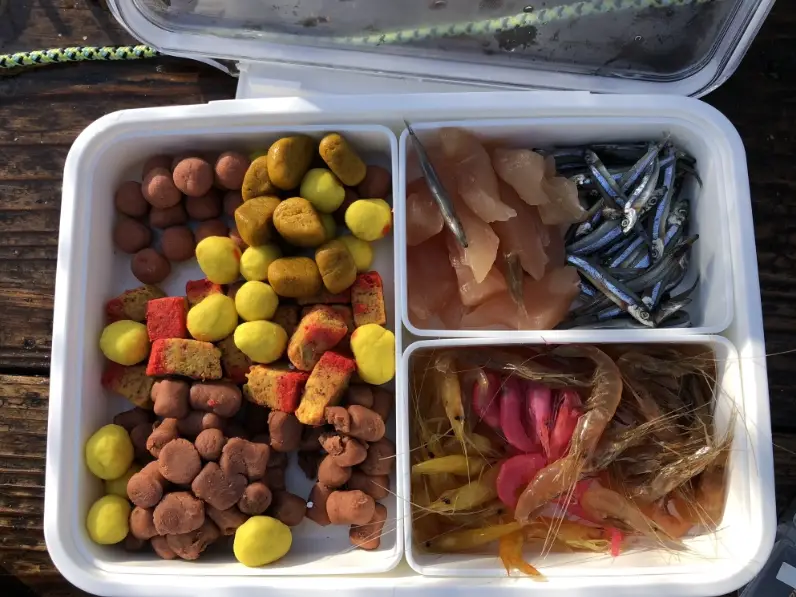 釣魚活餌 釣魚活餌