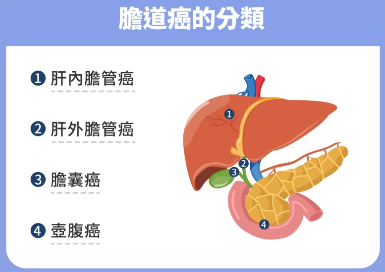 吐膽汁 原因