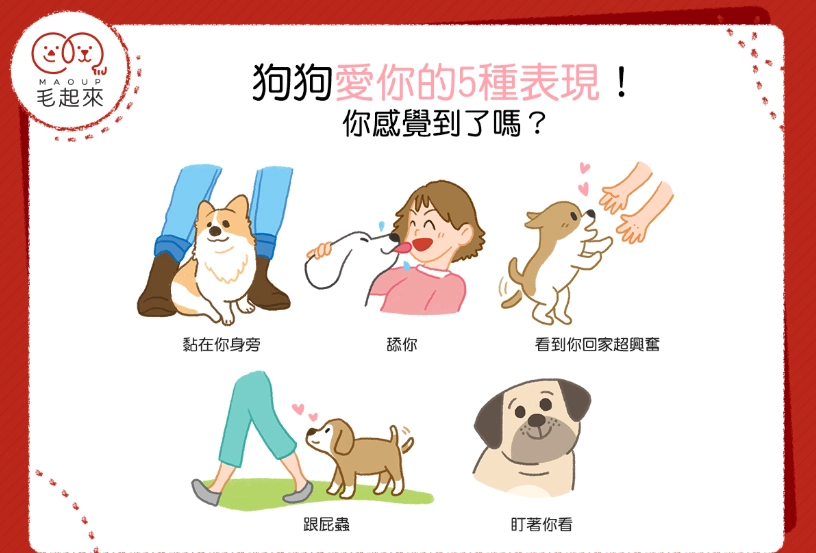狗狗信任主人的行為 狗狗信任主人的行為