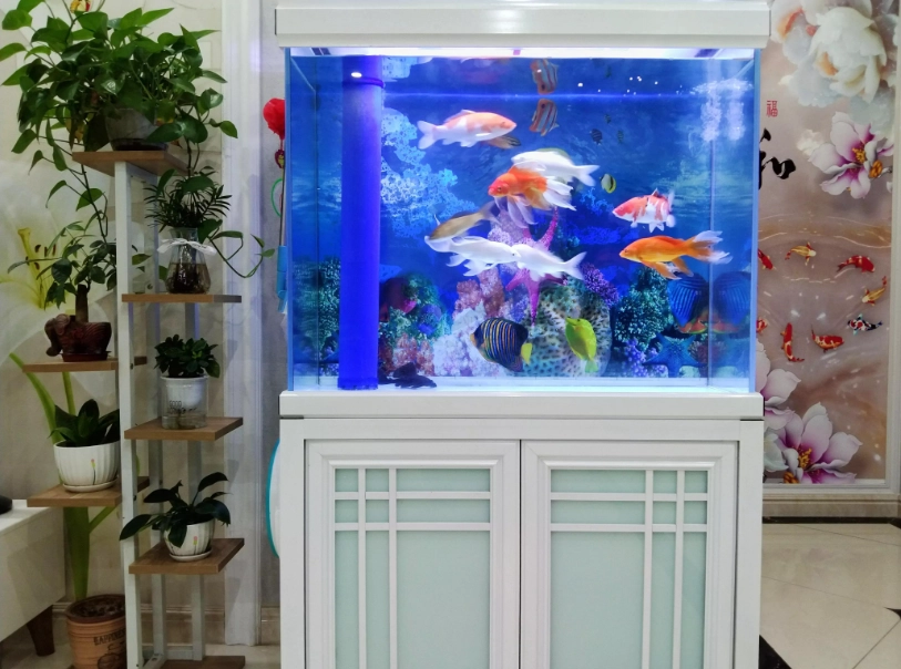 耐低氧魚種 耐低氧魚種