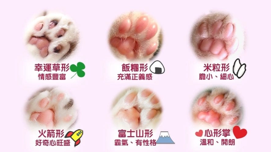 肉球形狀與個性 肉球形狀與個性