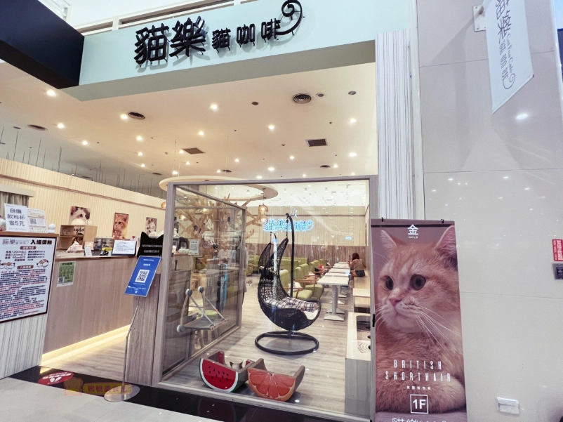 桃園貓咖啡廳 桃園貓咖啡廳