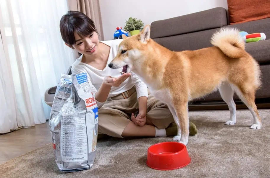 養狗月開銷