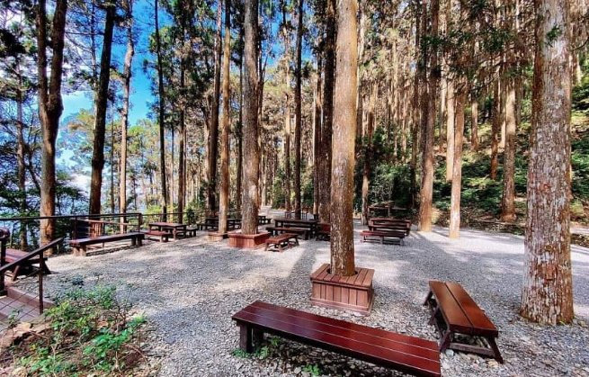 藤枝森林遊樂區 藤枝森林遊樂區