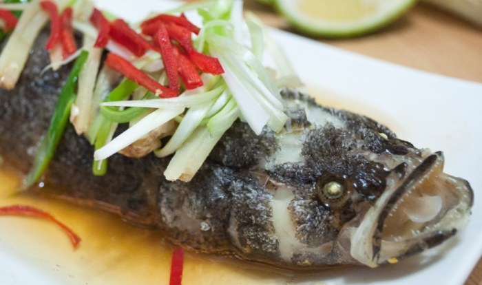 筍殼魚