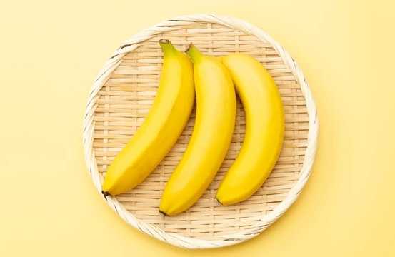 寵物鳥餵食 寵物鳥餵食