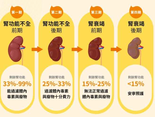 貓慢性腎病照顧