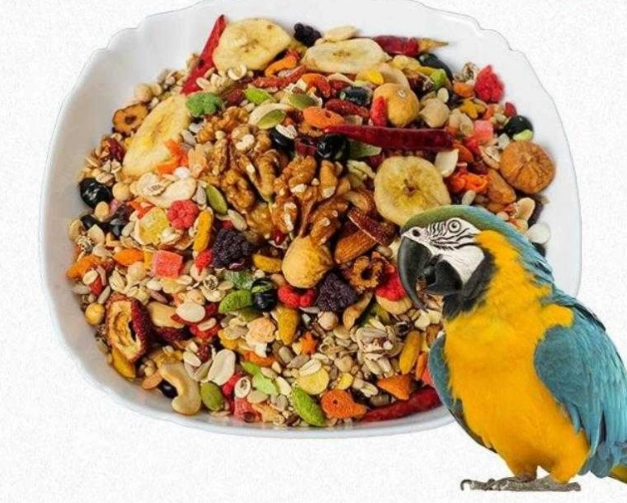鸚鵡健康食譜 鸚鵡健康食譜