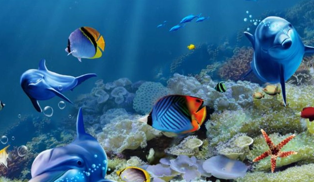 熱帶魚種類介紹