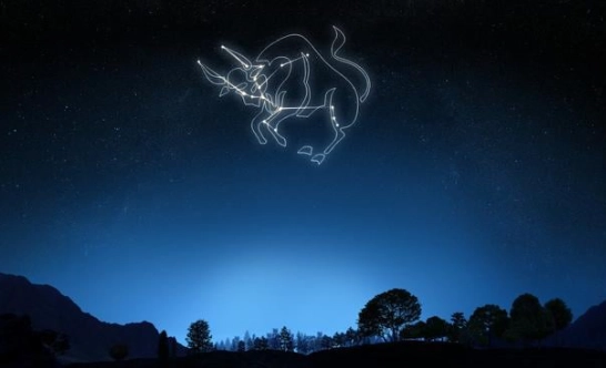 金牛座下降星座