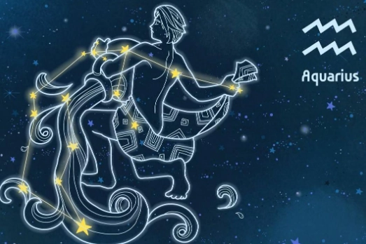 水瓶座下降星座