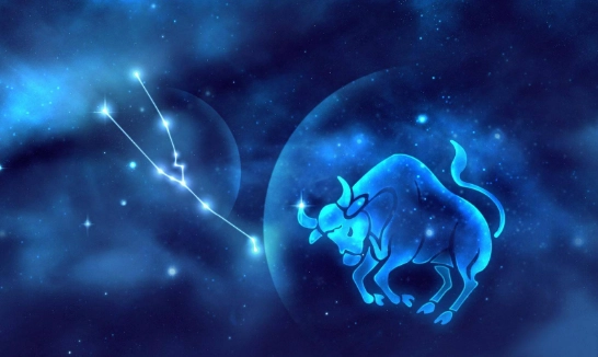 下降星座金牛座愛情