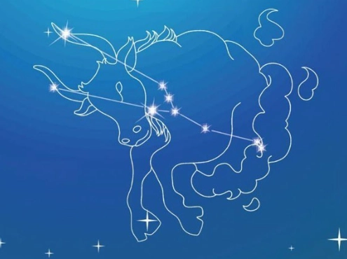 下降星座金牛座愛情