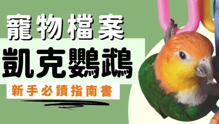 鸚鵡飼養法律 鸚鵡飼養法律