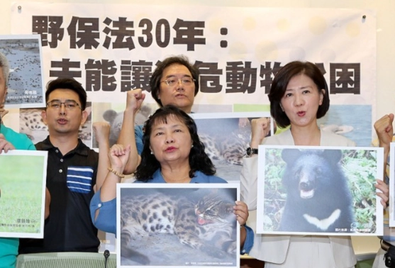 鸚鵡飼養法律 鸚鵡飼養法律