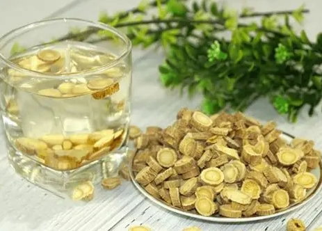 黃芪水可以每天喝嗎