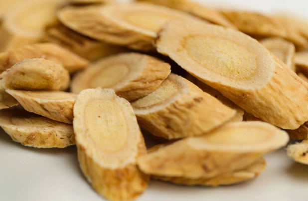 誰不能喝黃耆茶