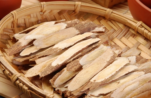 誰不能喝黃耆茶