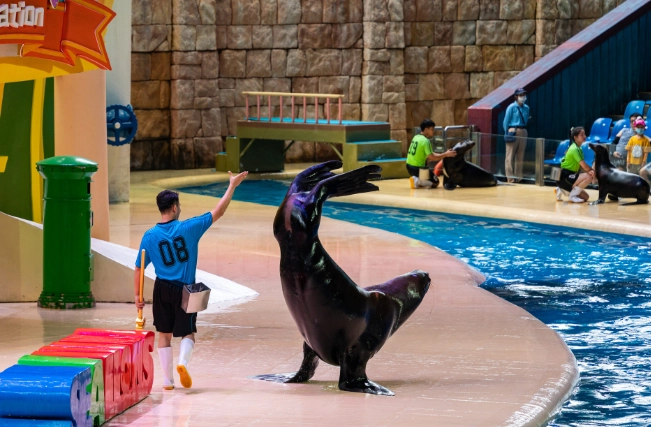 海洋公園表演時刻