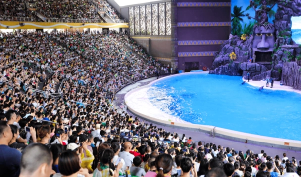 海洋王國表演節目