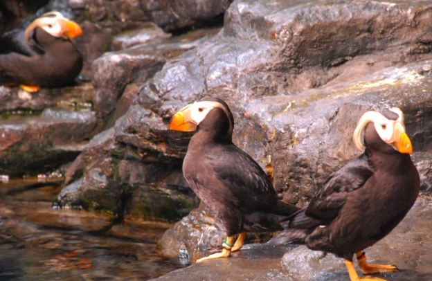 海鸚鵡海生館 展覽