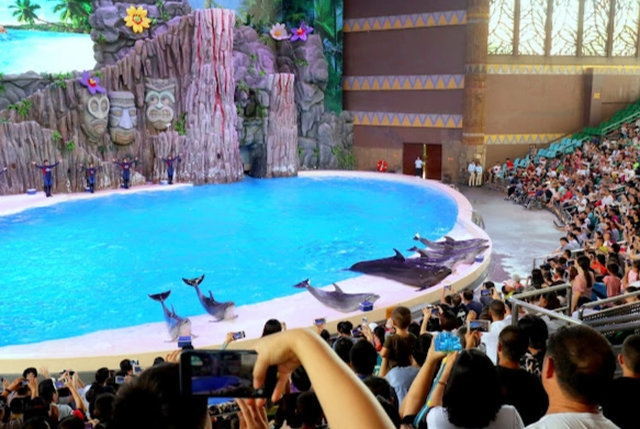 海洋公園表演時刻