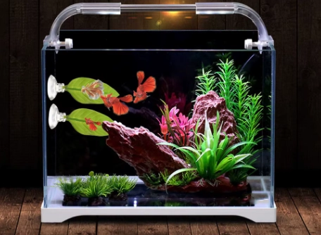 熱帶魚缸設置