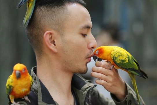 鸚鵡咬人怎麼辦