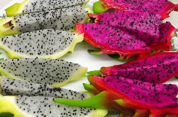 鸚鵡火龍果 價格