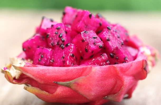 鸚鵡火龍果 種植