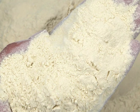 吸蜜鸚鵡飼料 吸蜜鸚鵡飼料