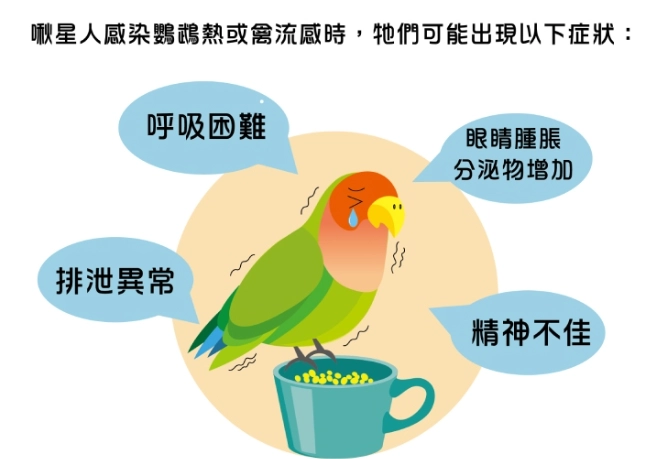 鳥感冒怎麼辦