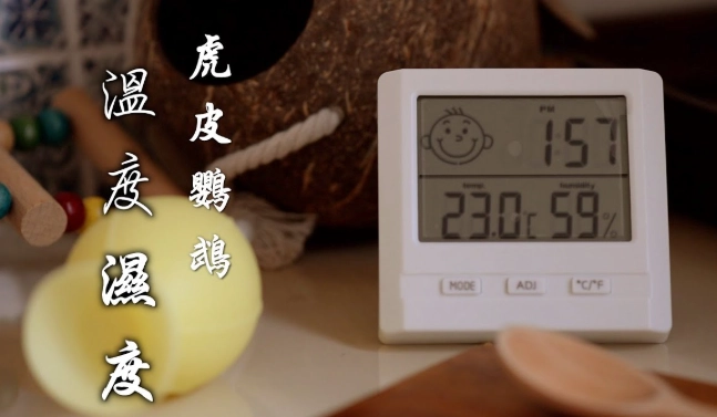 虎皮鸚鵡溫度 虎皮鸚鵡溫度